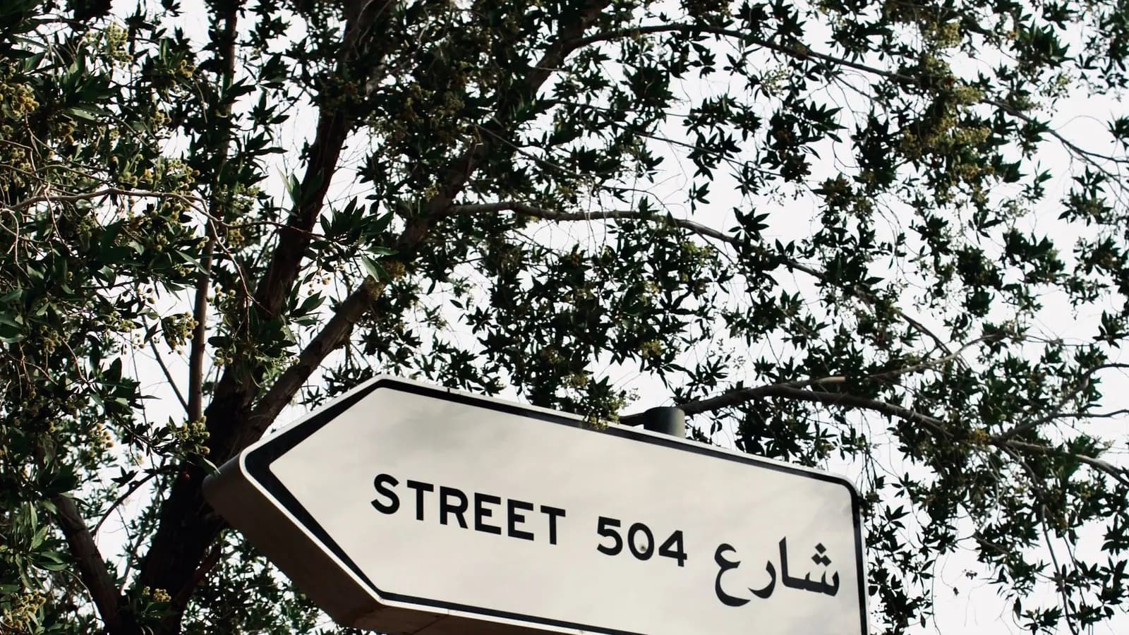 لافتة شارع بيضاء تحمل الاسم بالعربية والإنجليزية معاً بين أغصان الأشجار.